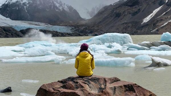 Грант ООН по окружающей среде и устойчивому развитию