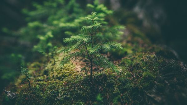 Защита нашей планеты