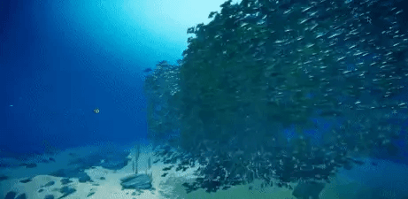 Nearest Neighbor Search image