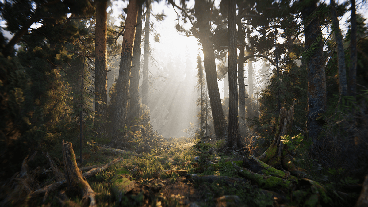 Демо «Книга мертвых» 2018 года