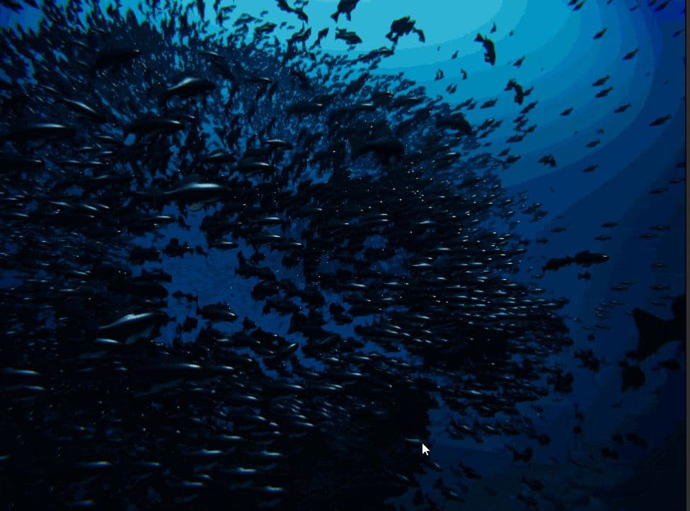 Best Leverage Hardware Resources image