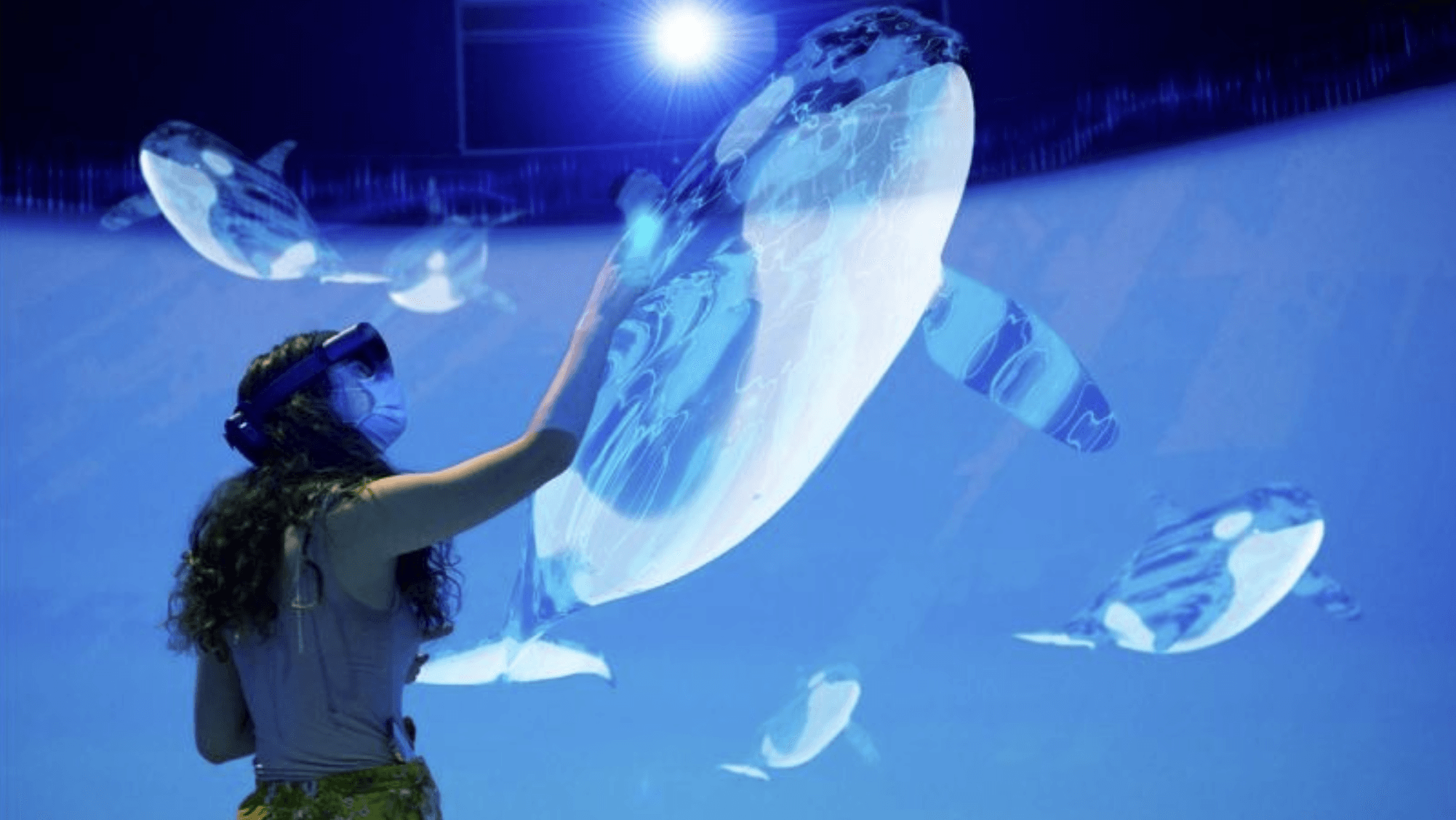 Южные резидентные касатки