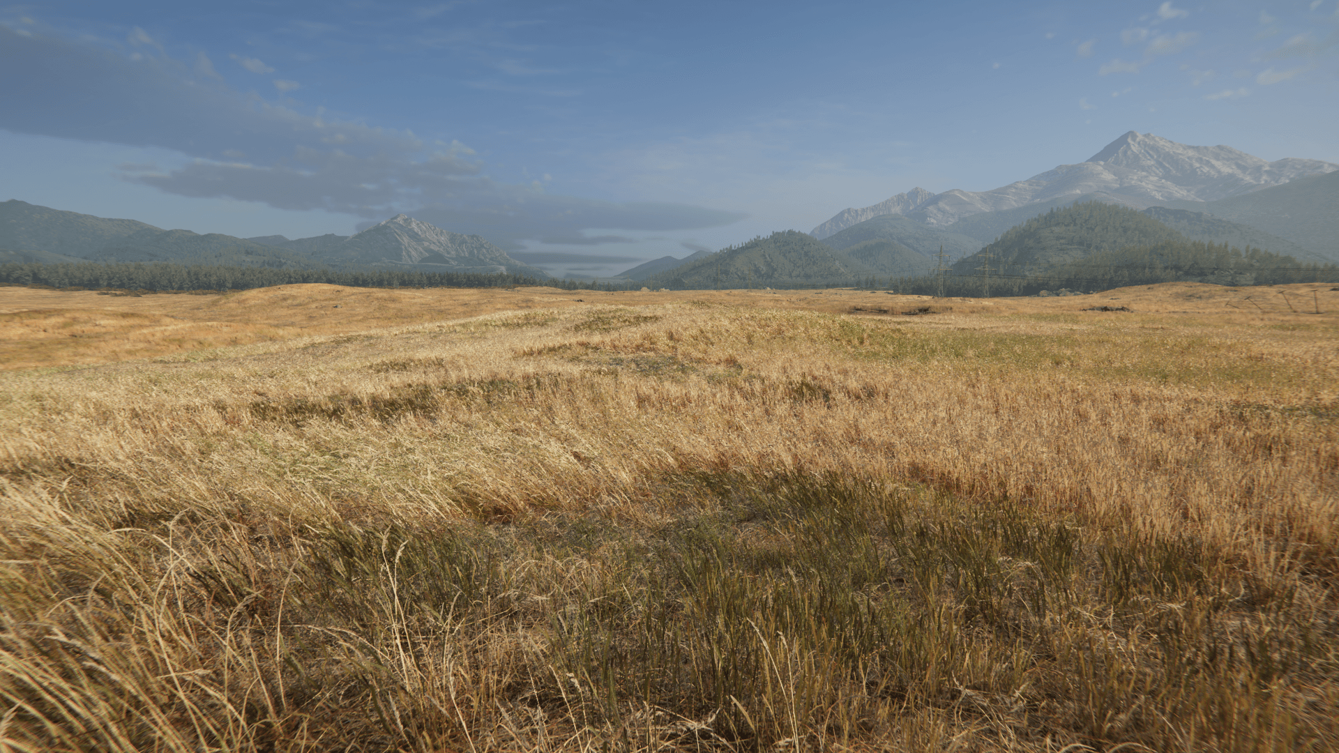 Сцена окружения